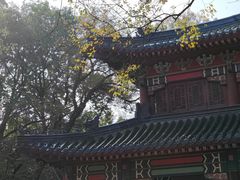 -灵谷景区
