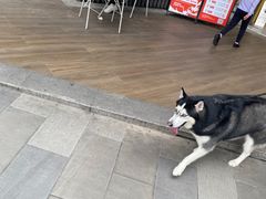 -源记肠粉(华贵路店)