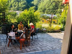 -牛背梁国家森林公园