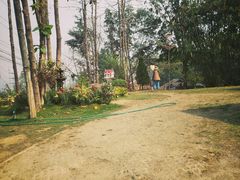-黄色小屋