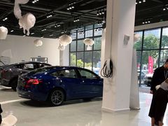-TESLA 特斯拉(深圳观澜特斯拉直营钣喷中心)