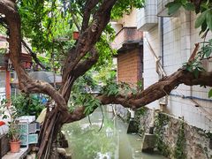 -小洲村
