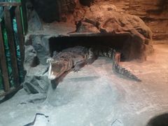 -上海昆虫博物馆