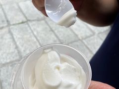 -洪馨椰子