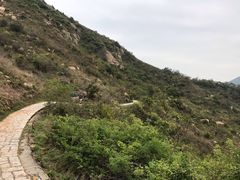 -南丫岛