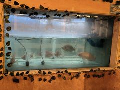 -亚龙湾红树林度假酒店御粤阁