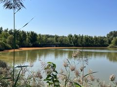 -翠湖国家城市湿地公园