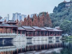 -重庆彩云湖湿地公园