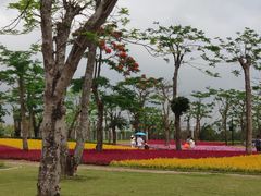 -芒洲湿地公园
