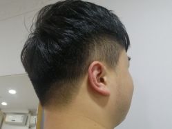 -菲凌私人定制
