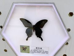 -明蜀王陵(地铁站)