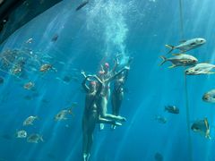 -瑞德姆美人鱼海底演艺主题餐厅(亚龙湾店)