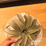 【提升幸福感的家居好物26】仿真绿植