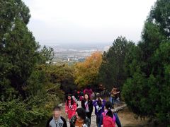 -北京鹫峰国家森林公园