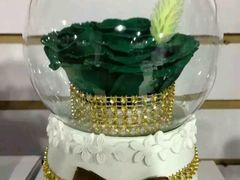 -龙达温泉生态城