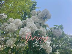 -大龙山(地铁站)