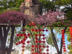 -无锡梅园公园