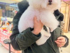 -FAELING PETS美天灵宠物(富力广场店)