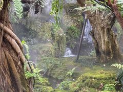 -Chom Cafe and Restaurant