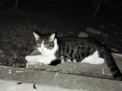 -江南大学(蠡湖校区)