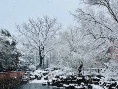 -岳麓山风景名胜区