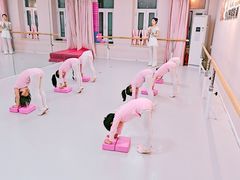 -桃子公主舞蹈培训(万柳校区)
