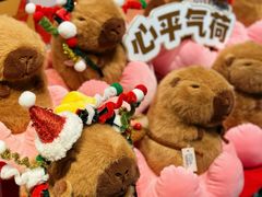 -酷乐潮玩(颛桥万达店)