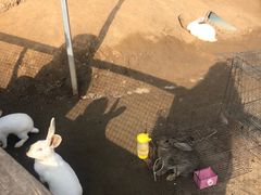 -前小桔亲子创意农场·草莓采摘·露营烧烤