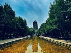 -玲珑塔公园