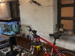 -两棵枇杷树