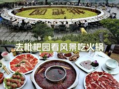 -枇杷园食为鲜火锅(南山店)