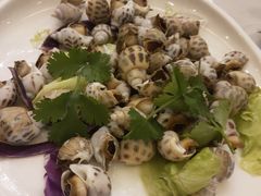 -满福隆酒楼(万绿园店)