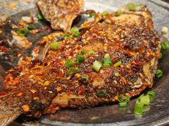 -新百度·洪湖地标大排档(爱国路店)