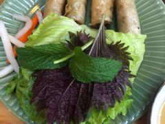 越南传统春卷-越美小馆·越南料理(曲江店)