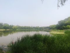 -北坞公园