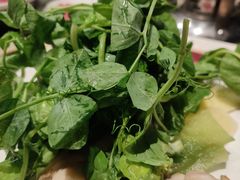 -TABLE·味西餐厅-成都茂业JW万豪酒店