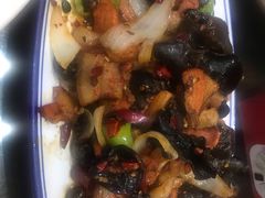 -津津乐乐