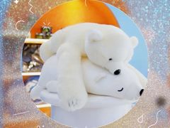 -Mr·Kuma酷么先生雪之乐园