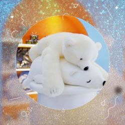 -Mr·Kuma酷么先生雪之乐园