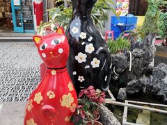 -猫咪博物馆(顶澳仔猫街店)