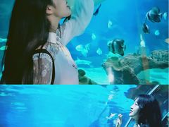 -石家庄海洋公园