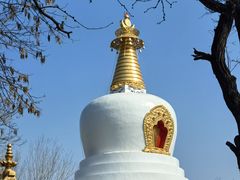 -护国法轮寺