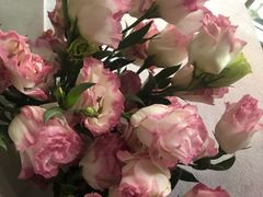 -三圣花乡旅游区