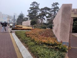 -青岛妇女儿童医院(辽阳西路院区)