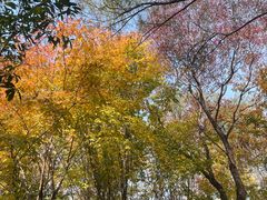 -洛阳市隋唐城遗址植物园