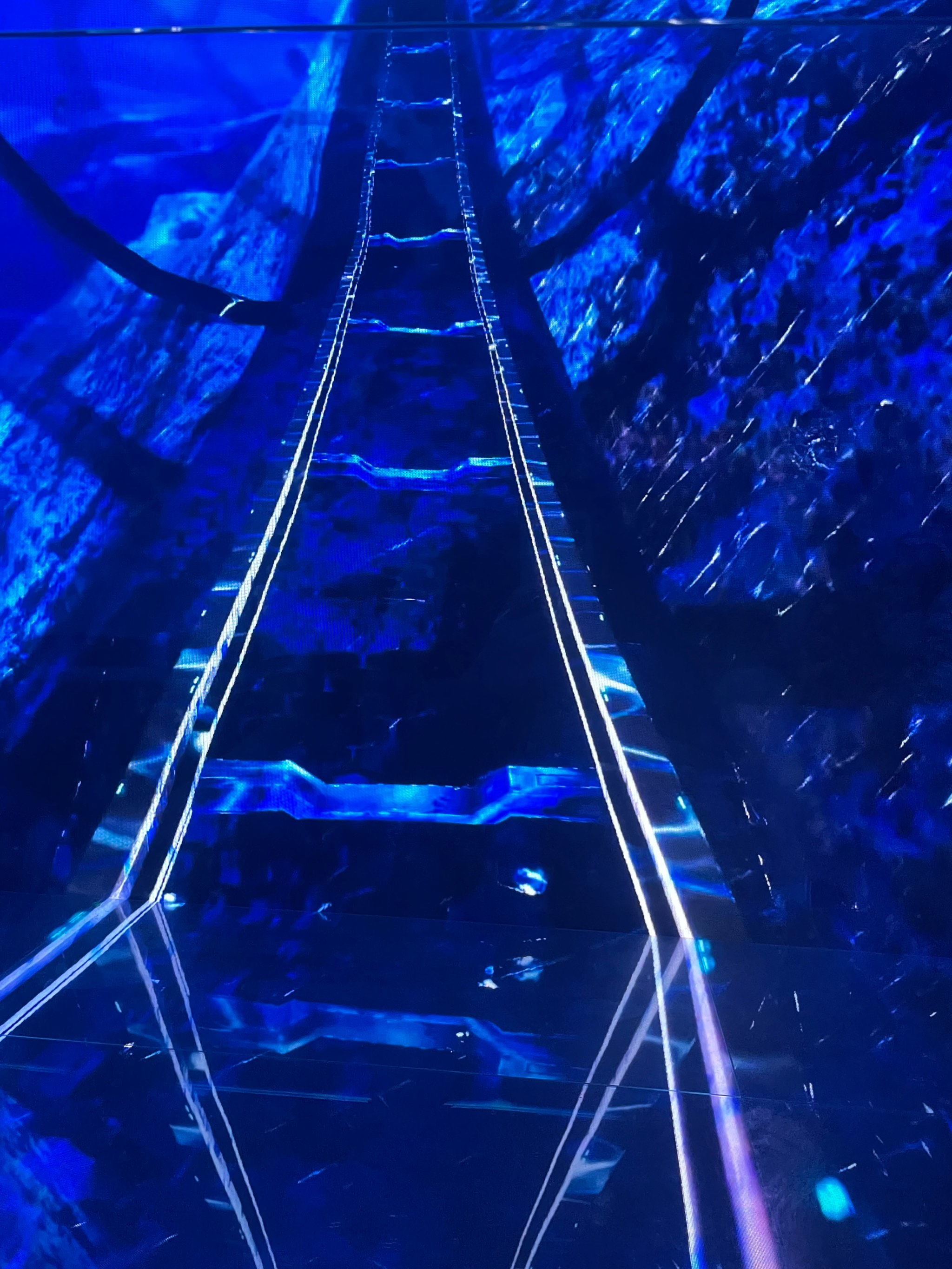 裸眼3d是什么(裸眼3d是什么意思)