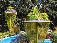 -上海共青森林公园