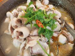 -大鼎石锅鱼(春江里店)