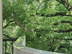 -湖北美术学院(昙华林校区)