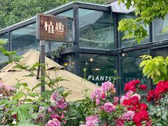-北马山庄植趣咖啡